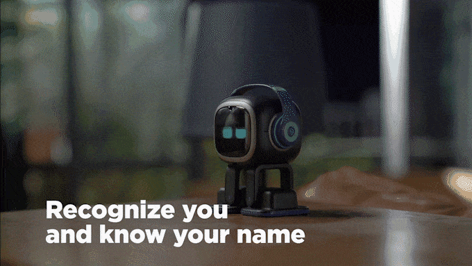 Emo Robot Recognition