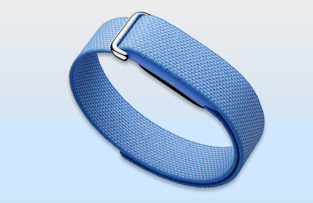Google Fitbit Air Band