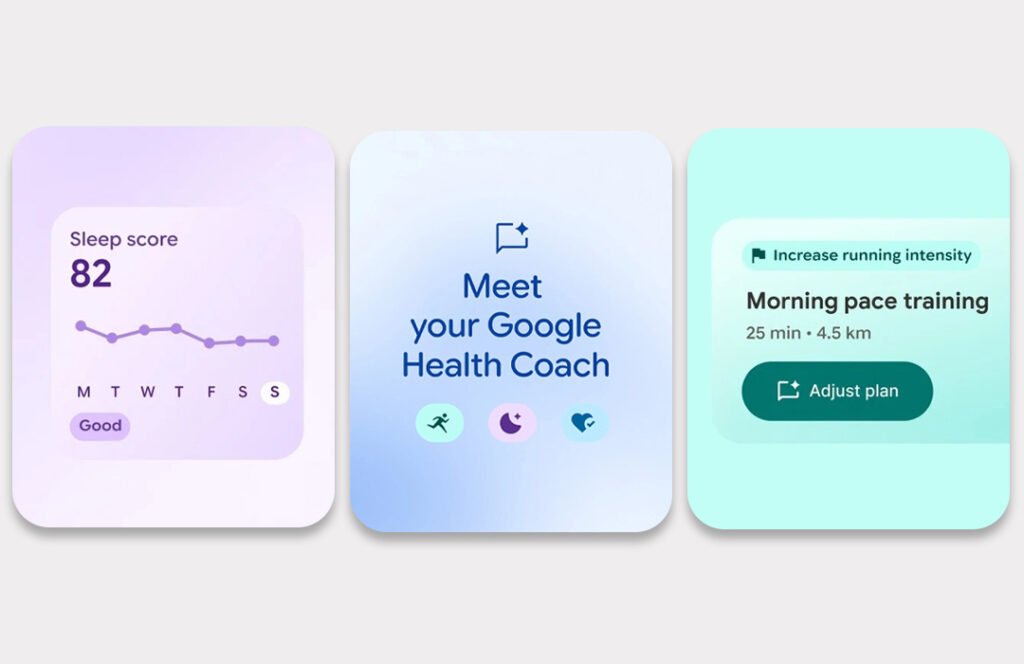 Google Fitbit Air Features