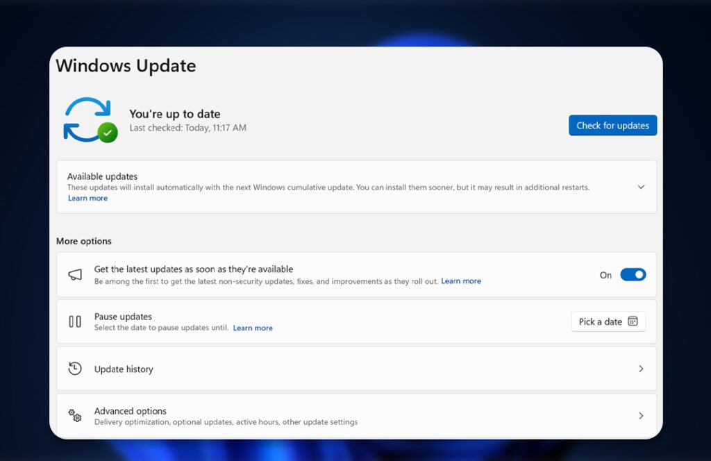 Windows 11 Update up to date